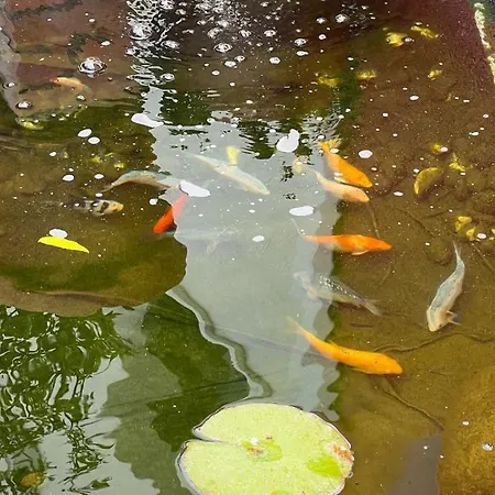 3 Caparica - Lisbon Gay Hotel 3*