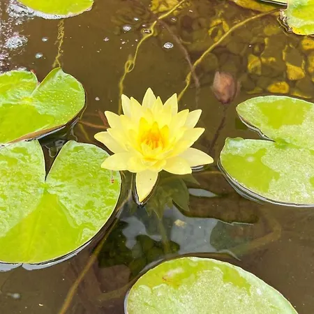 호텔 3 Caparica - Lisbon Gay 3*